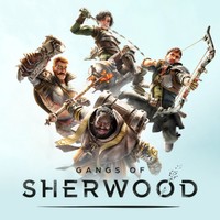 Gangs of Sherwood — cover artwork