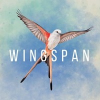 Wingspan — cover artwork